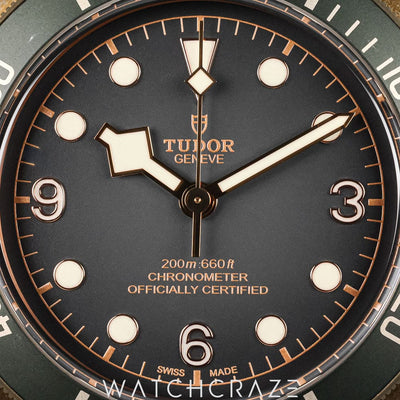 2023 TUDOR BLACK BAY BRONZE 43MM 79250BA