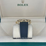 2023 ROLEX SKY-DWELLER CHAMPAGNE DIAL OYSTERFLEX 326238