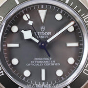 2023 TUDOR BLACK BAY 58 925 SILVER CASE TAUPE BAND 39MM 79010SG