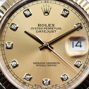 2017 ROLEX DATEJUST CHAMPAGNE DIAL 41MM 126333