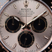 2024 ROLEX DAYTONA COSMOGRAPH SUNDUST DIAL 40MM 126515LN EVEROSE