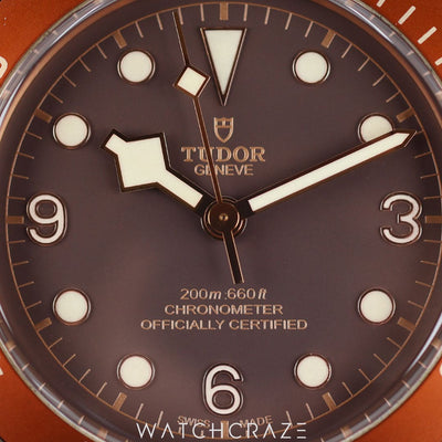 2017 TUDOR BLACK BAY BRONZE 43MM 79250BM