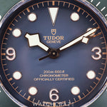 2020 TUDOR BLACK BAY BRONZE GREY DIAL 43MM 79250BA
