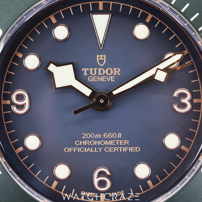 2020 TUDOR BLACK BAY BRONZE GREY DIAL 43MM 79250BA