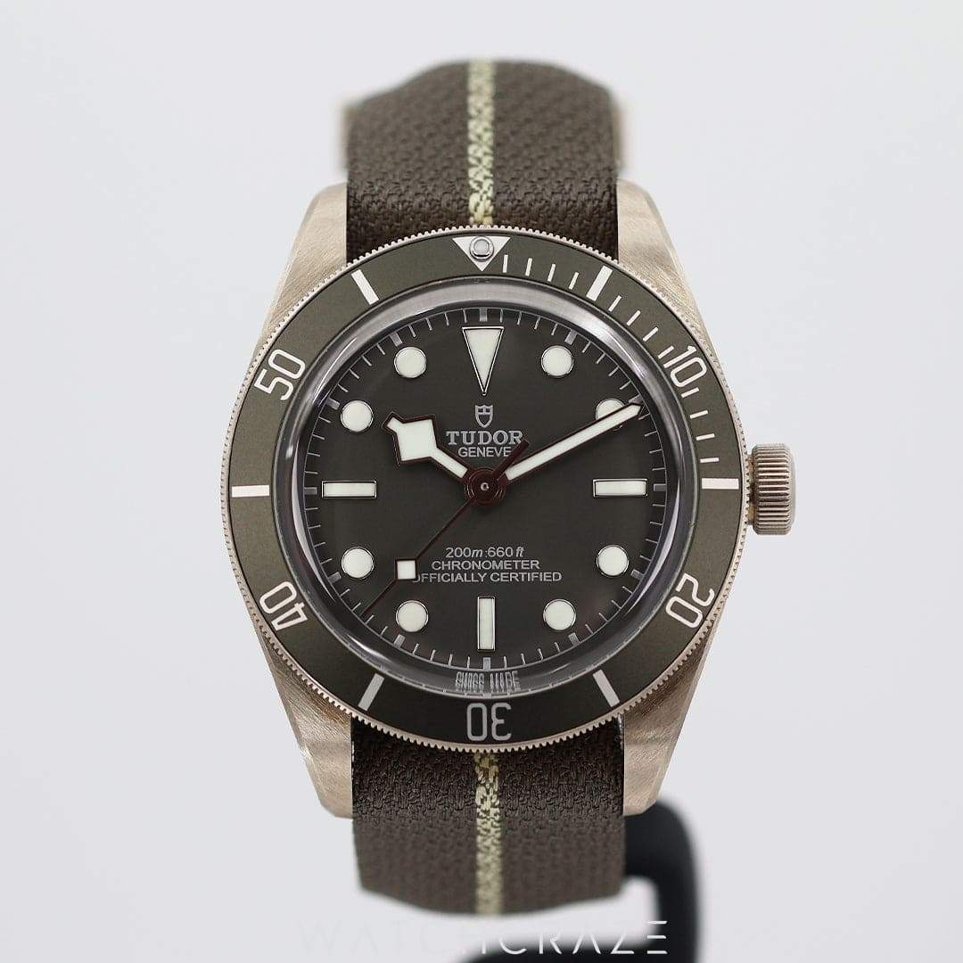 2023 TUDOR BLACK BAY 58 925 SILVER CASE TAUPE BAND 39MM 79010SG
