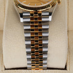 2024 ROLEX DATEJUST TWO TONE YELLOW GOLD AND STEEL CHAMPGANE DIAL 36MM 126233