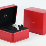 2019 CARTIER SANTOS DE CARTIER MEDIUM STAINESS STEEL WSSA0010