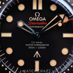 2021 OMEGA SEAMASTER DIVERS 300M 007 EDITION 42MM 21092422001001