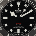 2024 TUDOR PELAGOS 39 TITANIUM 25407N