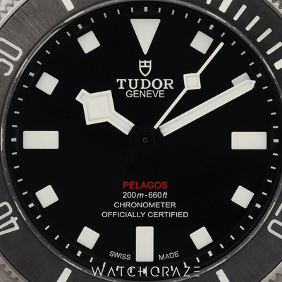 2024 TUDOR PELAGOS 39 TITANIUM 25407N