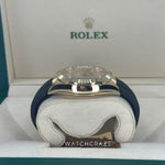 2023 ROLEX SKY-DWELLER CHAMPAGNE DIAL OYSTERFLEX 326238