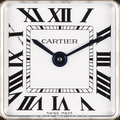 2024 CARTIER PANTHERE TWO TONE YELLOW GOLD AND STEEL W2PN0006