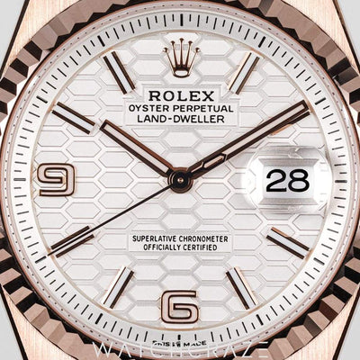 2025 ROLEX LAND-DWELLER ROSE GOLD 36MM 127235