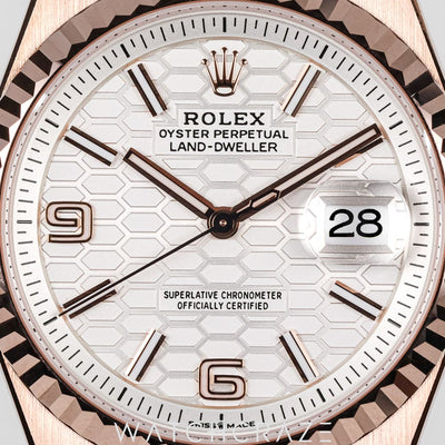 2025 ROLEX LAND-DWELLER ROSE GOLD 36MM 127235