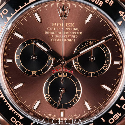 2025 ROLEX COSMOGRAPH DAYTONA RG CHOCOLATE DIAL 40MM 126515LN