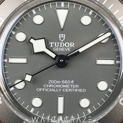 2022 TUDOR BLACK BAY FIFTY-EIGHT 39MM M79010SG-0002