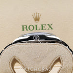 2023 ROLEX OYSTER PERPETUAL STAINLESS STEEL 41MM 124300