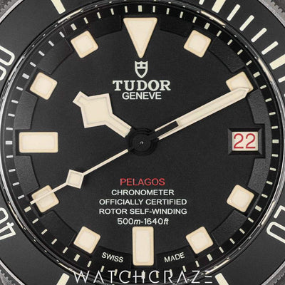 2021 TUDOR PELAGOS TITANIUM 42MM 25610TNL