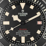 2021 TUDOR PELAGOS TITANIUM 40MM 25610TNL
