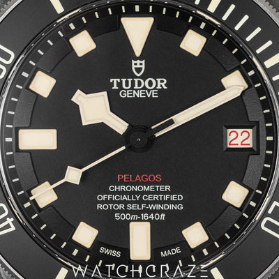 2021 TUDOR PELAGOS TITANIUM 40MM 25610TNL
