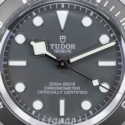 2025 TUDOR BLACK BAY 58 925 39MM 79010SG