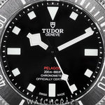 2023 TUDOR PELAGOS 39 TITANIUM 25407N