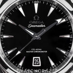 2025 OMEGA SEAMASTER AQUA TERRA 150M 38MM 220.10.38.20.01.004