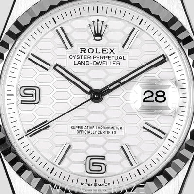 2025 ROLEX LAND-DWELLER STAINLESS STEEL WHITE DIAL 36MM 127234