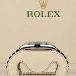 2022 ROLEX DAY-DATE PLATNIUM ICE BLUE 40MM 228206 DAYDATE